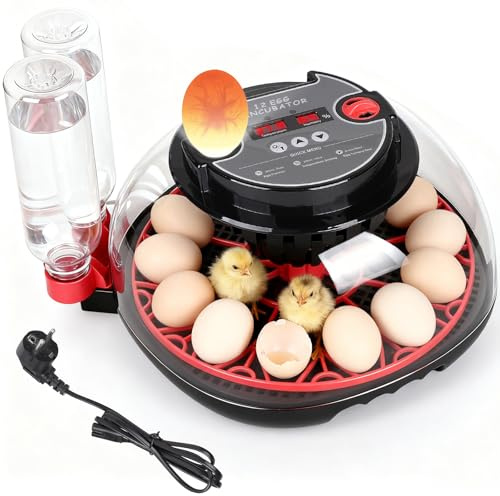EFUTURETIME Incubadora Automática para Huevos Gallina, Luz de Inspección | Incubadora con Temperatura y Humedad Ajustables para 12 Huevos, con Volteo Automático
