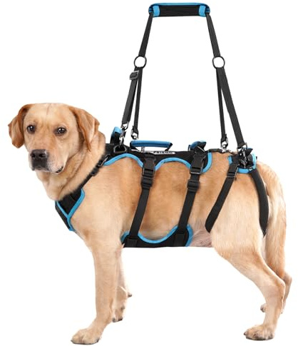 Lafoty Dog Lift Harness for Large Male Dogs, 2-in-1, Back Leg Support & Mobility Assistance for Senior Dogs, Post-Surgery Recovery Sling(Black, Large)