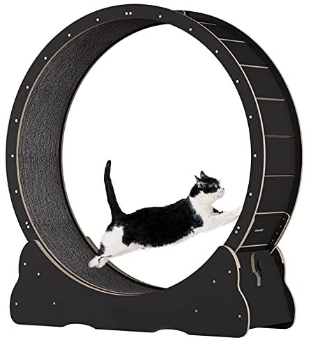 Rueda de ejercicio de gatos para gatos interiores, rueda grande para carreras de gato, rueda de cinta de correr de gato con almohadillas de agarre reemplazables, dispositivo de bloqueo,Black-S