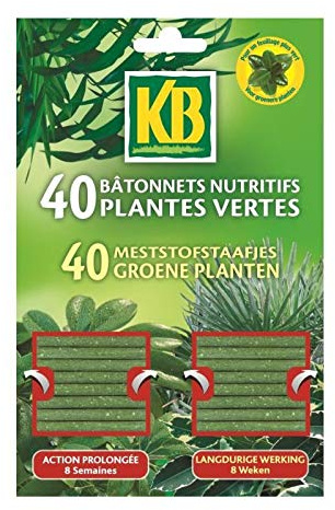 KB Jardin BATONNETS Plantes Vertes X40 /NCA