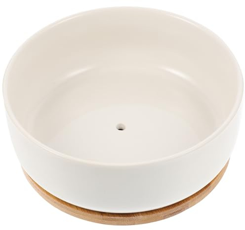 GALPADA Maceta y Blanco Suculentas Color con Cerámica de Exceso Bandeja de Bambú para Suculentas Pequeñas Redonda Previene de Riego Bonsáis Adecuada para Hogar y Oficina