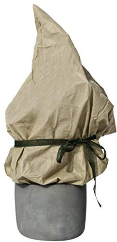 Windhager Winter-Vlies Protect, Kälteschutz, Frostschutz für Pflanzen, Gartenvlies, Abdeckvlies, Winterschutzhaube, 5 x 1,5 m, 30g/m², beige