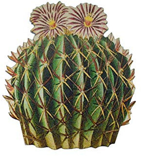 Miniblings Broche de du désert de Fleurs Texas Western 2 - Bijoux à la Mode à la Main I Pin Bouton Pins