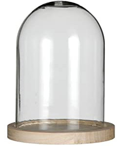 DEKO MARKET Dôme en verre, diamètre 12 cm, hauteur 16 cm, verre véritable, base en bois