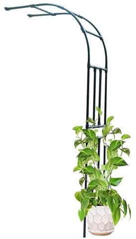 Tonnelle de Jardin en Treillis Demi-Arc Pergola Résistante Aux Intempéries Tonnelle Demi-Côté pour Plantes Grimpantes Fleurs Vignes Métal