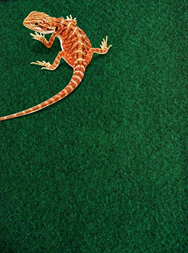 Komodo Reptile Carpet Absorbent Soft Habitat Decor Indoor Use for all Terrariums and Vivarium's - 60 x 50cm