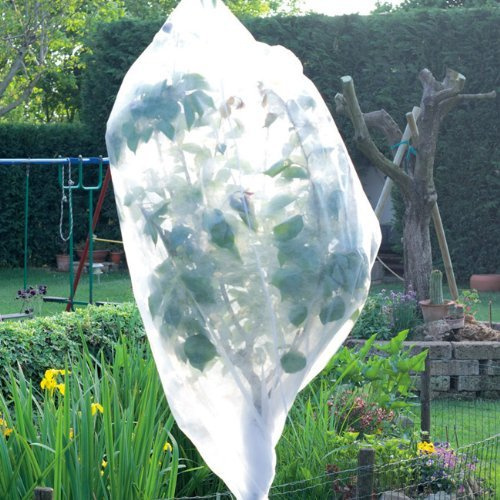 Cappuccio Gelo Tnt Tessuto Non Tessuto Protezione Piante D. 200x160 1 Pezzo