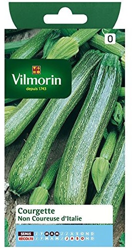 Vilmorin - Courgette non Coureuse d'Italie