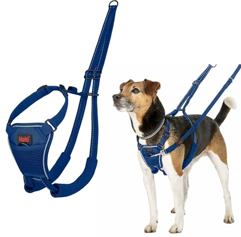 HALTI No Pull Anti-Zug Geschirr - Verhindert, DASS Ihr Hund an der Leine zieht, Gepolsterter Brust- und Beingurt, Reflektierendes Gurtmaterial, Einfache Anpassung und Benutzung (Größe XS, Kobaltblau)