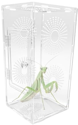 Recinto para arañas saltarinas - Hábitat Transparente acrílico (Transpirable) | Vitrina pequeña de arácnidos, terrario para micromascotas, Transparente de observación de Insectos con ventilación