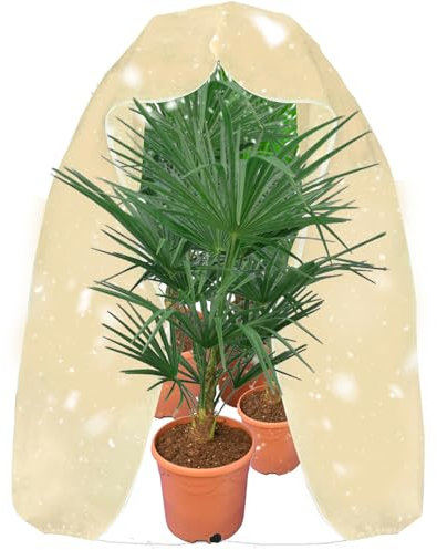 Gutepa Winterschutz für Pflanzen, 200x240cm Frostschutz Pflanzen Abdeckung, Pflanzenschutz Winter Außen für Kübelpflanzen, Olivenbaum, Palmen mit Reißverschluss, Wiederverwendbar Pflanzenschutz