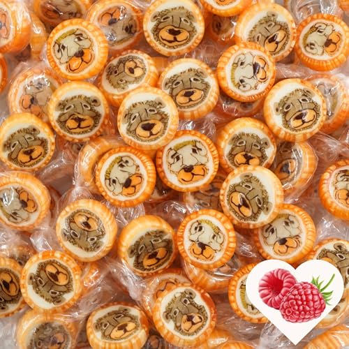 EinsSein 0.5kg Rock Sweets Lion & Bear Candy | Orange-Brown Party Favors for Kids | Cute Candy Bar Decorations for Birthday Baby Shower & Jungle Parties
