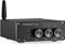 Nobsound Bluetooth Verstärker, Mini 200W (100W×2) TPA3116 Amp Digital Amplifier, HiFi Stereo Class D Power Verstärker mit Netzteil (NS-15G)