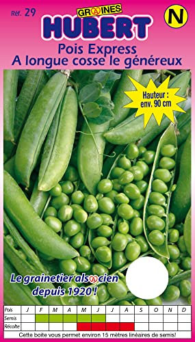 Graines de Pois Express à Longue Cosse - 150 grammes