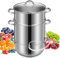 VIVOHOME Extractor de Vapor de Jugo, Acero Inoxidable para Frutas y Verdurasr, Olla al Vapor de 10 L con Tapa de Cristal, 3 Capas 2 Mangueras