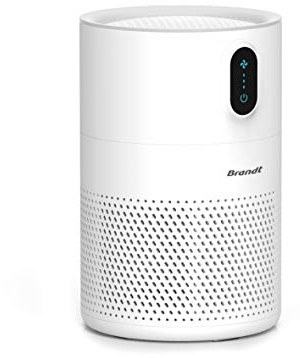 Brandt Purificatore d'aria bianco, filtro dell'aria ambiente per la casa, elimina odori sgradevoli, batteri e virus, con sistema di filtrazione a 3 e 4 velocità, 16 W