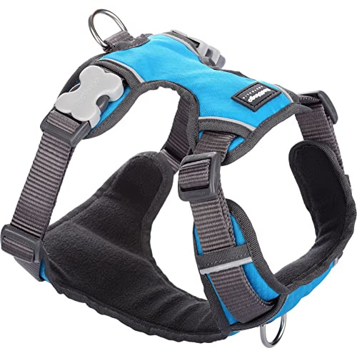 Red Dingo Hundegeschirr, gepolstert, Größe L, Türkis