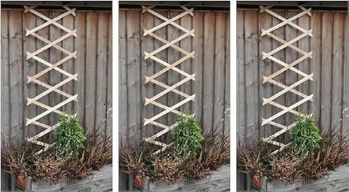 Garden Mile Set of 3 Expanding Wooden Trellis Panels for Garden, Lightweight Lattice Fence Panel, Garden Trellis for Climbing Plants Outdoor - Heavy Duty Durable Flexible Wood Weatherproof - 6ft x 1ft