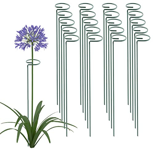 Thealyn 24 Inch 20 Packs Plant Support Stakes, Garden Single stemmed Plant Support Hoops Plant Prop for Flowers Orchid Tomatoes Peony Lily Rose Gladiolus (24 inch)