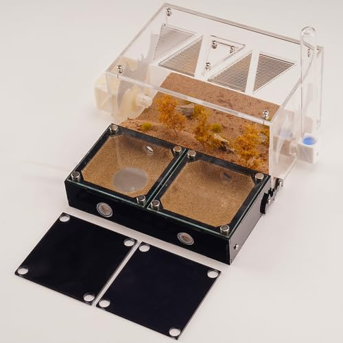 Rimsunta Ant Farm - Educational Study of Ant Behavior Formicarium for Live Adult Ants, Queen, and Nest