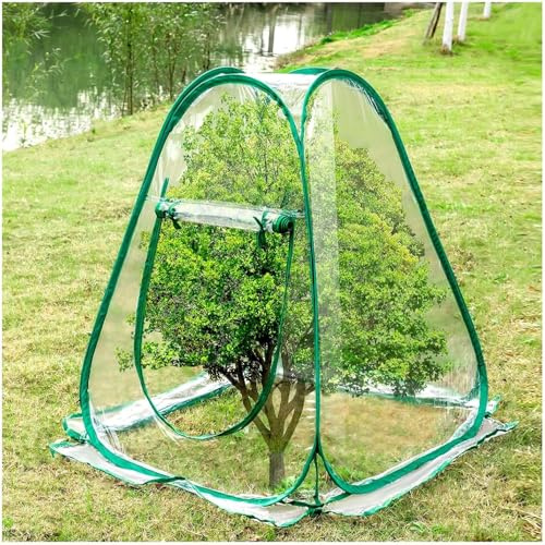 Pop Up Gewächshaus Klein Foliengewächshaus 70 x 70 x 80 cm Überwinterungszelt Transparentes Winterzelt mit Aufrollbaren zum Schutz von Pflanzen und Blumen PVC Pflanzenschutz für Garten, Balkon, Indoor