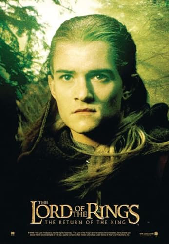 Close Up Herr der Ringe Poster die Rückkehr des Königs (68,5cm x 98cm)