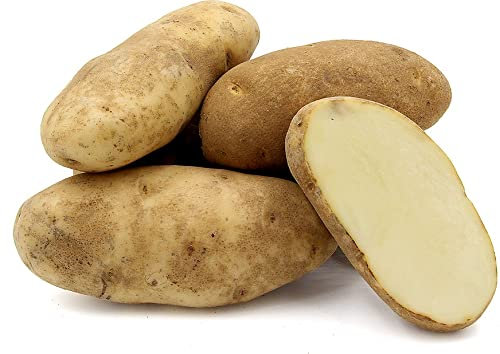 20x Certified Seed Potatoes - Choose from Over 40 Varieties!, Golden Wonder, Maincrop