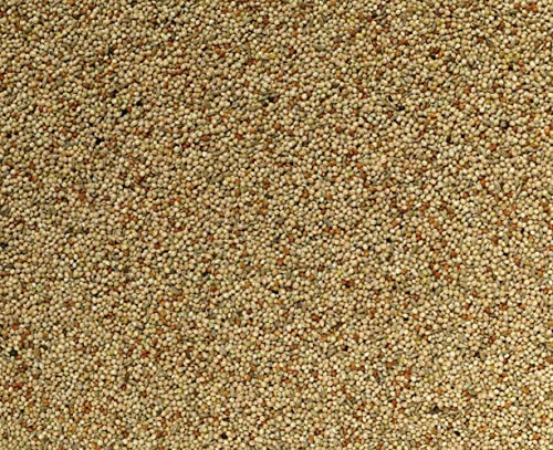 Johnston & Jeff 3kg Utility Budgie bird seed food sold by Trusty Pet Supplies