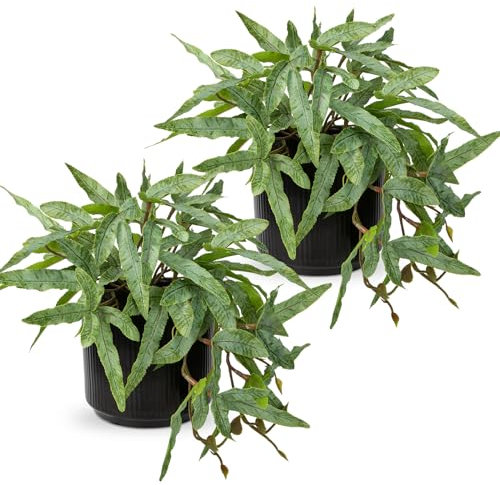Briful 2-Packs 9 Small Artificial Fern Plants Indoor Pteris Cretica Fake Plants, Faux Fern in Black Ceramic Pot Decorative Artificial Plants for Home Living Room Kitchen Bathroom Decor