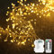DINOWIN Led Büschel Lichterkette 9.8Ft 100 LED Cluster Kupferdraht Lichterkette Batterie Strombetrieben mit 8 Modi Fernbedienung für Weihnachtsbaum Schlafzimmer Feste Hochzeiten (Warmweiß)