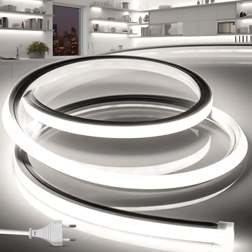 BRIMETI Striscia LED Neon 3M 220V Tubo LED Silicone Flessibile Esterno Impermeabile IP65 Nastri LED Luminosa 120 LED/M Corda Stringa Lampada, con Alimentatore di rete e Controller (Bianco)