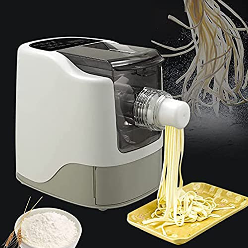 CHUNTIANMEI Electric Household Pasta Machine 260W Automatic Noodle Maker for 13 Varieties of Pasta Molds Multi Function Spaghetti Fettuccine Penne Maker