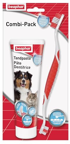 Beaphar Lot combiné de dentifrice et de brosse à dents | pour chiens et chats