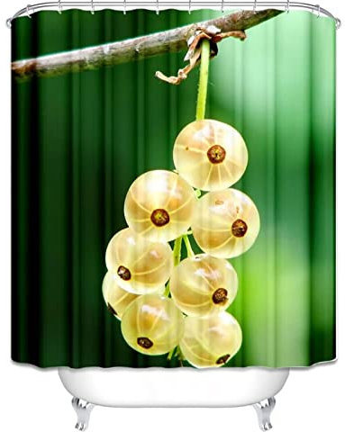 EHOMERY Fabric Shower Curtain Liner Washable Bathroom And Currant Immature Bush Berry Waterproof Curtains For Aesthetic Polyester, 160X180Cm