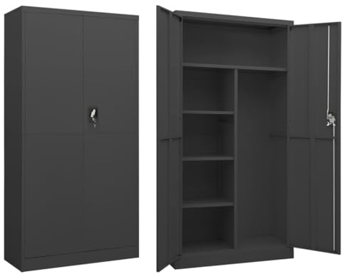 CIOURSTO Armadio in Acciaio, Spazio Sufficiente, Armadio con 2 ante e 4 Accessori per Attrezzature Sportive o Prodotti per la Pulizia, 2 Chiavi (Antracite)