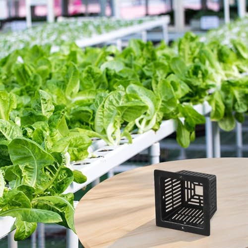 Lot de 10 pots de culture aquaponique pour plantes aquaponiques et développement amélioré des racines (noir)