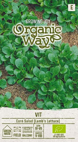 Organic Way | MÂCHE VIT des graines | Graines de légumes | 1 Paquet