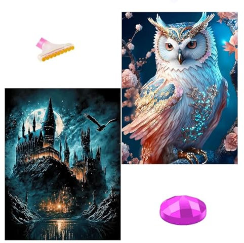 Aiuorty 2 Pack Diamond Painting,Zauber Akademie Diamant Painting bilder Erwachsene set for Kinder Kids DIY 5D Diamond Art Malerei Gift Wand Dekor 30x40cm (Eulen)