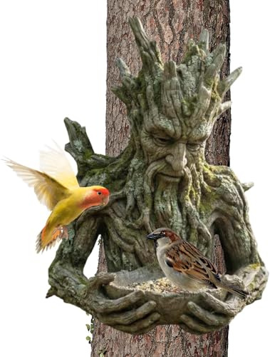 Sculpture Toutes Saisons - Bol Mangeoire Extérieur | Ornement Moderne Résistant À Toutes Les Saisons | Station De Nourrissage | Station De Nourriture pour Oiseaux D'Extérieur
