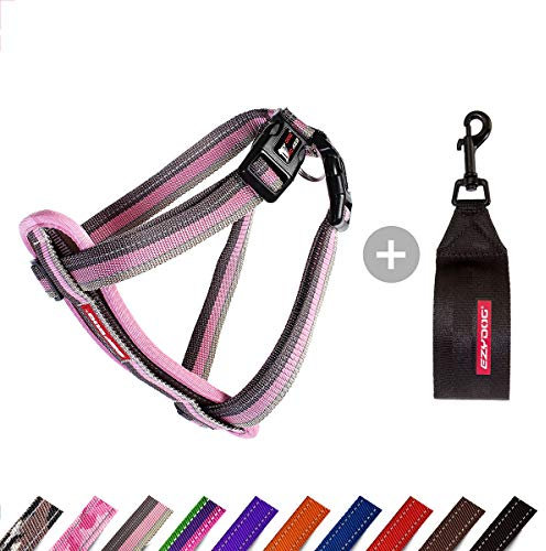 EzyDog Hundegeschirr Auto mit Sicherheitsgurt, Brustgeschirr Hund, Sicherheitsgeschirr Hund, 'Chest Plate' Geschirr für Kleine, Mittelgroße und Große Hunde, Reflektierend, Gepolstert (S, Candy)