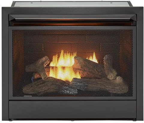 Duluth Forge Ventless 26,000 BTU Heats 1,350 Square Feet Dual Fuel No-Clearance Gas Fireplace Insert with Remote Control, Black