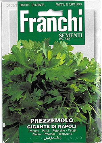 Franchi Giant Neapolitan Flat leaf Parsley - Prezzemolo Gigante di Napoli