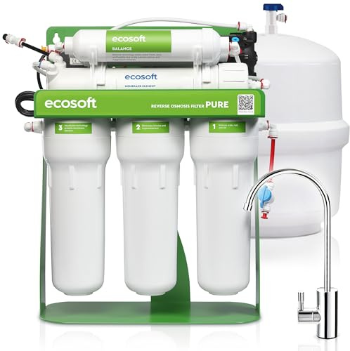 Ecosoft Pure Balance con bomba y bastidor | descalcificador doméstico para agua dura | control inteligente | ahorro de sal y agua | ideal para viviendas unifamiliares