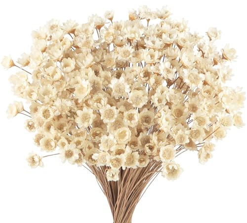 300 STK Getrocknete Blumen Brasilianische Weiß Kleine Sternblume Blumen Mini Getrocknete Blumenstrauss Gänseblümchen Mini-Kamille Blumenstrauß für Blumenarrangement Hochzeit 300pcs Star Dried Flower