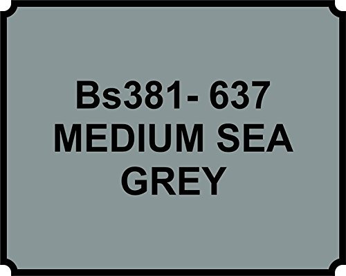 Xtremeauto MEDIUM SEA GREY Heat Resistant Paint 250ML Brush ON…