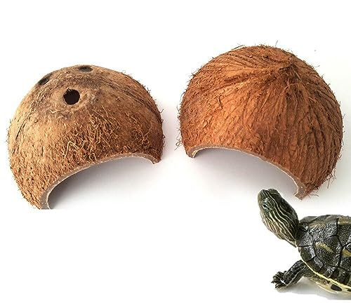 2pcs Grotte de Cachette pour Reptiles Coquille de Noix de Coco Naturelle Nid pour Petits Animaux Rampants Abri pour Reptiles Lézards Tortues Habitat de Cachette pour Reptiles