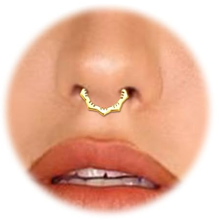 Goiern Piercing de nez en forme de fleur 16 G - Pour homme et femme - Pour hélix, tragus, cartilage, lèvres, oreille, daith (doré), or, L