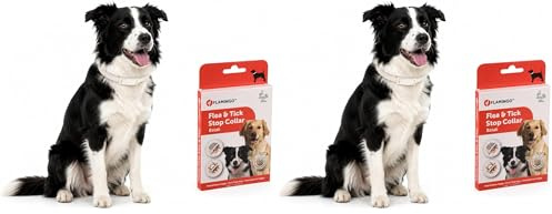 Flamingo 75cm Collier Antiparasitaire pour Chiens - Collier pour Petits, Moyens et Grands Chiens - Collier Anti-Puces Et Anti-Tiques éTanche Et RéGlable - 8 Mois de Protection (Lot de 2)