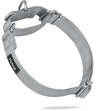 Hyhug Martingale Dog Collars, Large Grey, Escape Proof | Heavy-duty no-pull nylon, secure fit for strong dogs. Great for training walks and park outings. Durable & easy adjust
