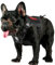 OneTigris Hundegeschirr, FIRE WATCHER Taktische Geschirr Sicherheitsgeschirr Hunde Hundeweste mit 1 Griffe und 2 D-Ring 1000D Nylon (XXS, Schwarz)